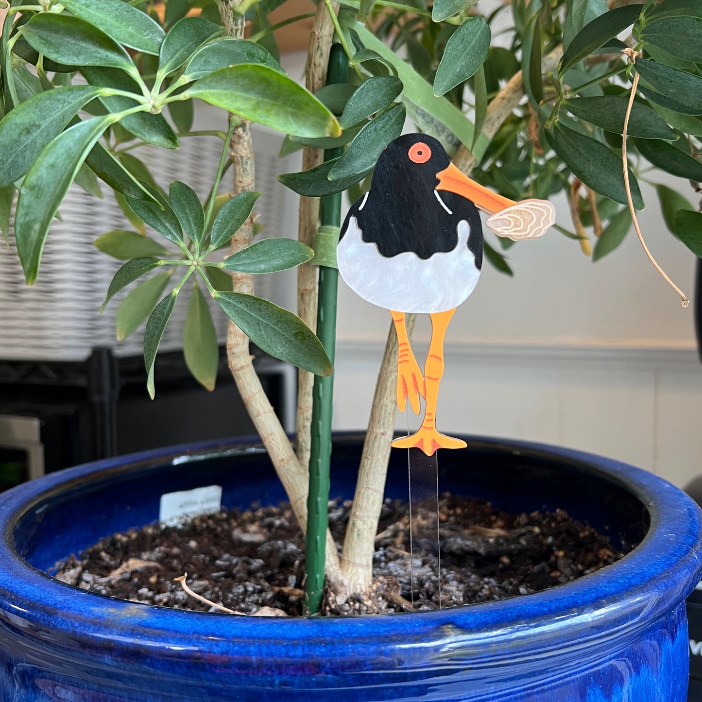 Oystercatcher plant stake