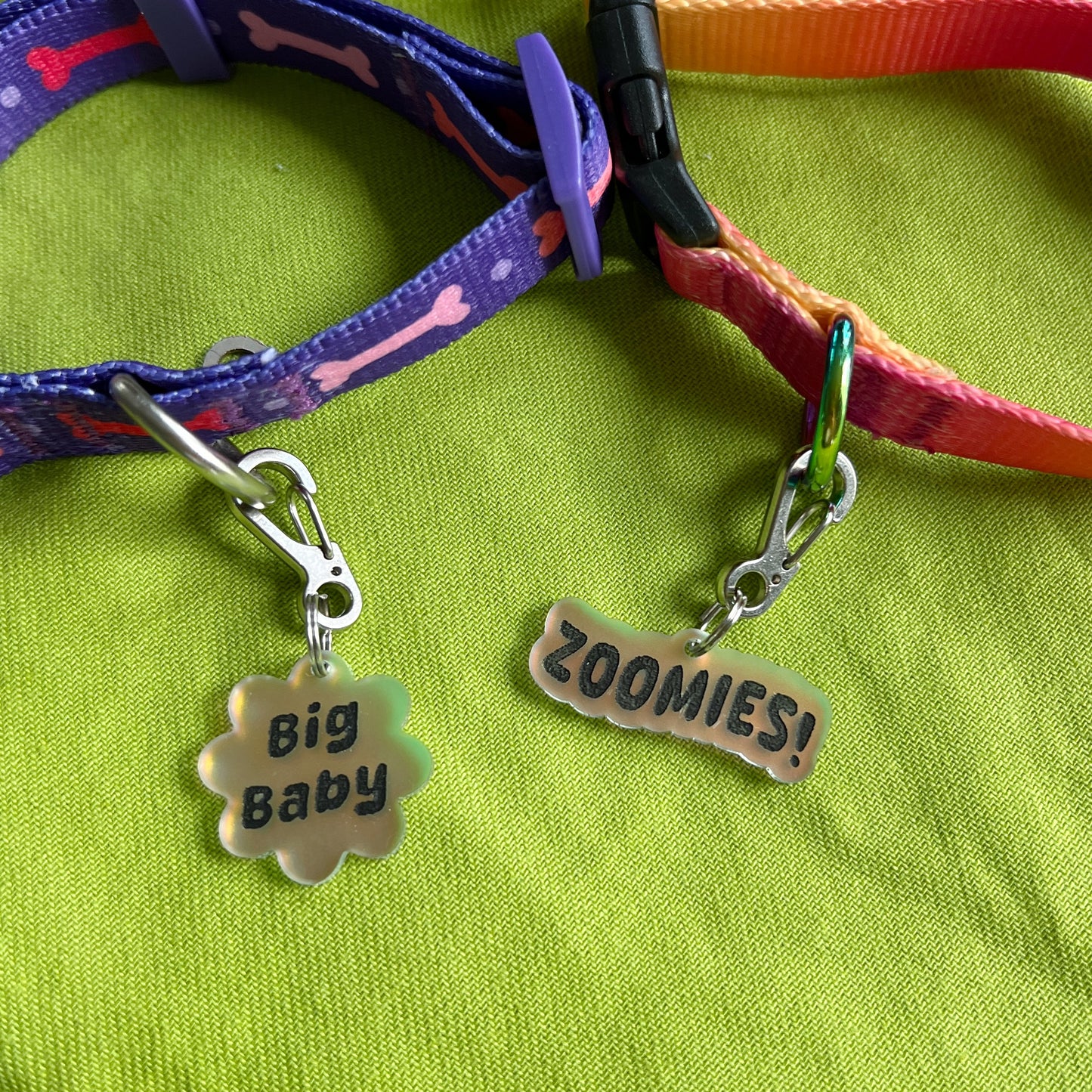 Dog/cat collar tags (iridescent)