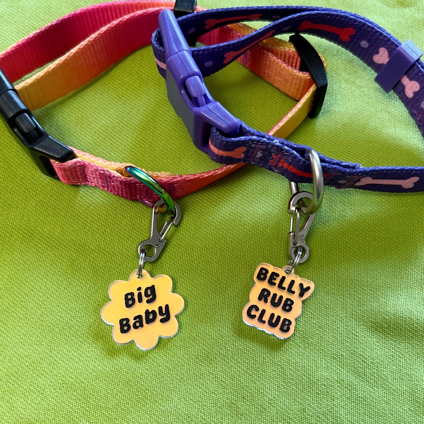 Dog/cat collar tags (iridescent)