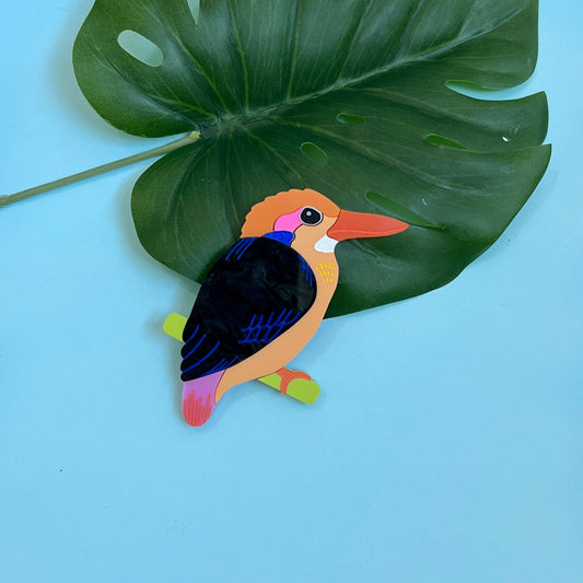 Dwarf kingfisher brooch