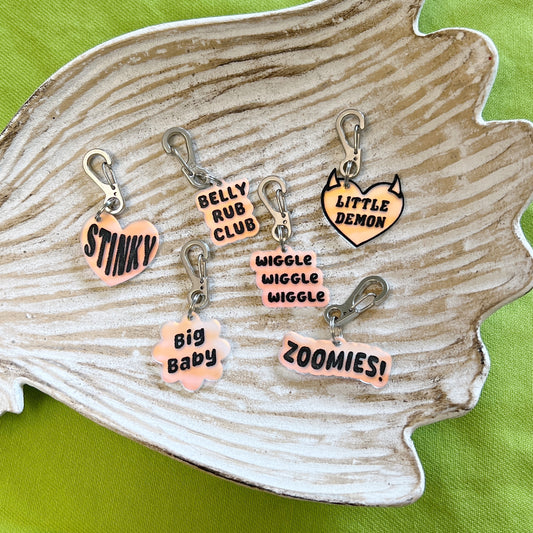Dog/cat collar tags (iridescent)