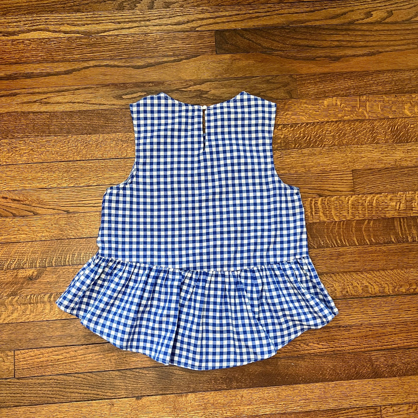 Slimey blue/white checkered top
