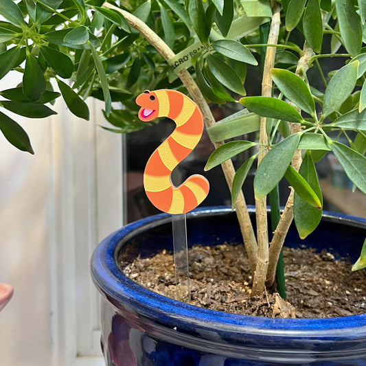 Stripey worm plant stake